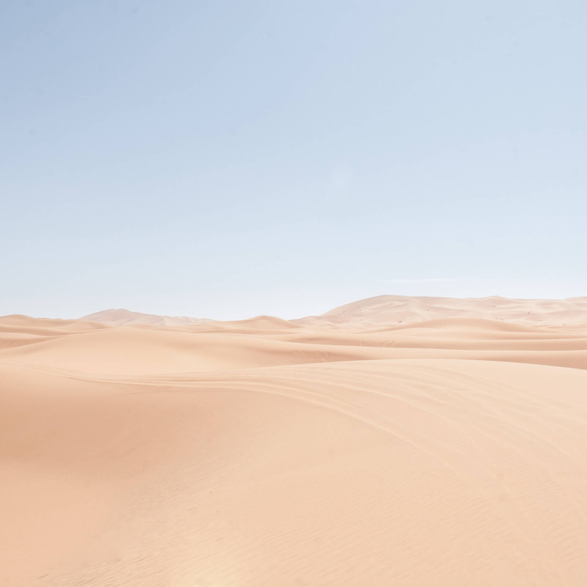 Landscape 02