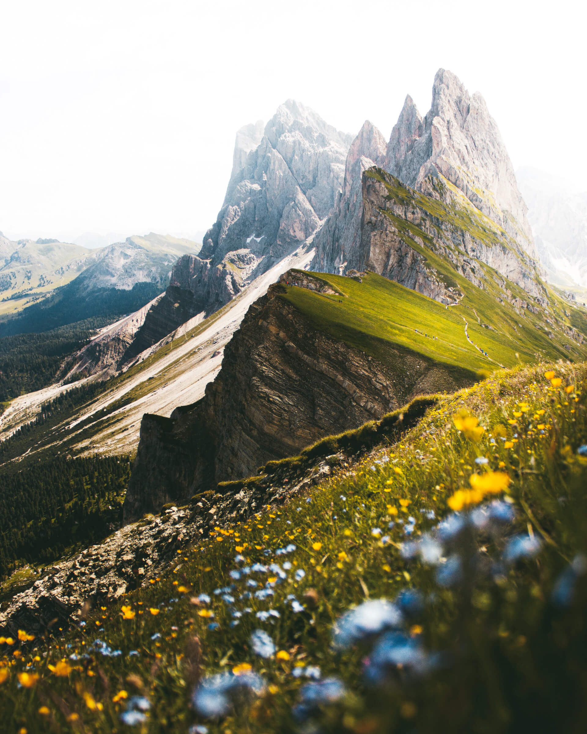 Landscape 03